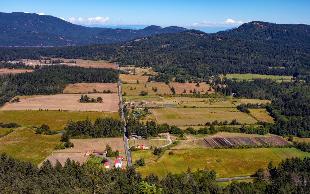 Land for Sale in Washington State by Owner: A Guide for Hunters